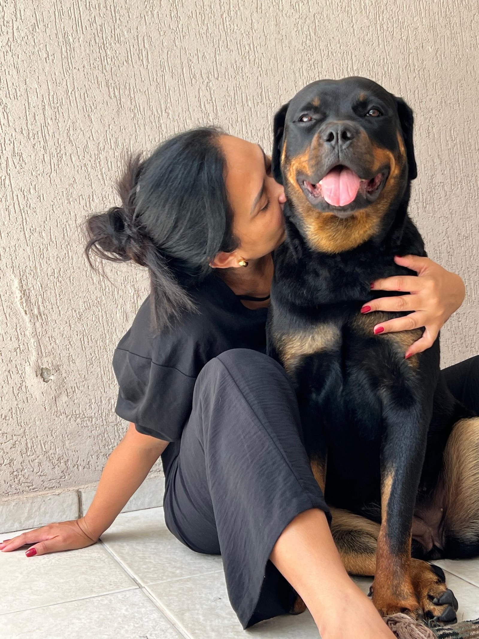 TReinamento de rottweiler filhote e adulto